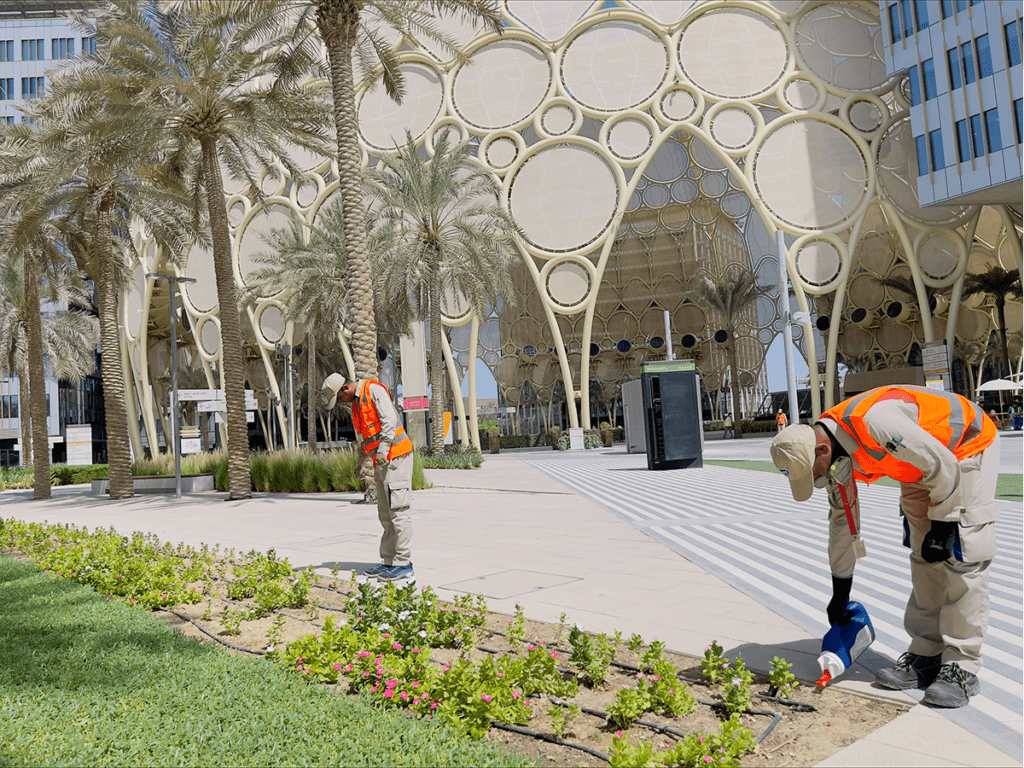 Workers at expo