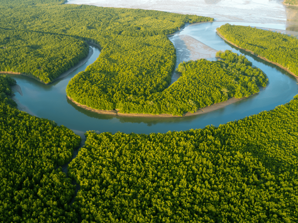 River bend drone photo