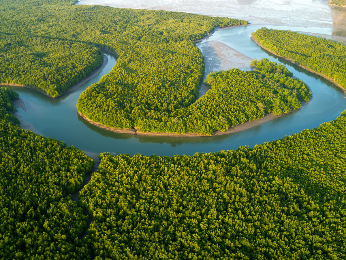 River bend drone photo